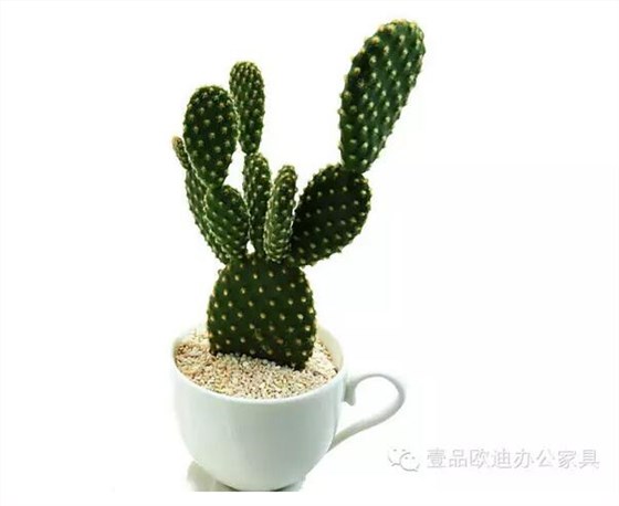 輕松解決辦公室內(nèi)各種污染！