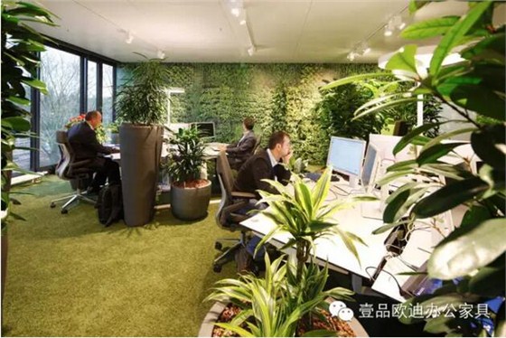 為什么辦公室里一定要養(yǎng)植物？-壹品歐迪辦公家具