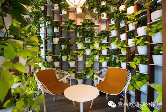 為什么辦公室里一定要養(yǎng)植物？-壹品歐迪辦公家具