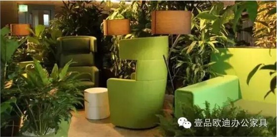 為什么辦公室里一定要養(yǎng)植物？-壹品歐迪辦公家具