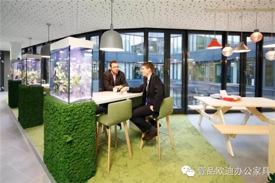 為什么辦公室里一定要養(yǎng)植物？-壹品歐迪辦公家具