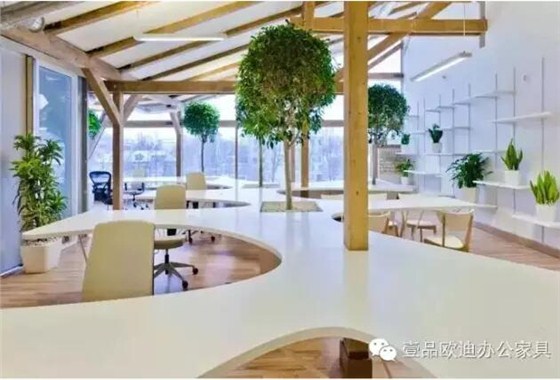為什么辦公室里一定要養(yǎng)植物？-壹品歐迪辦公家具