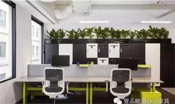為什么辦公室里一定要養(yǎng)植物？-壹品歐迪辦公家具