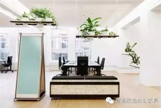 為什么辦公室里一定要養(yǎng)植物？-壹品歐迪辦公家具