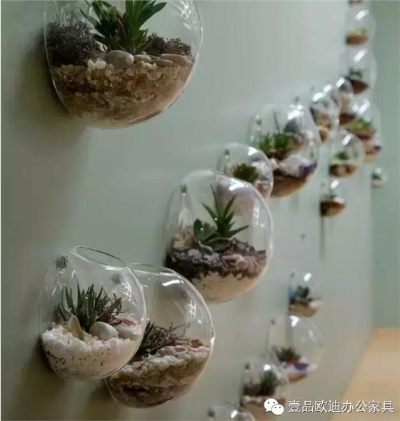 為什么辦公室里一定要養(yǎng)植物？-壹品歐迪辦公家具