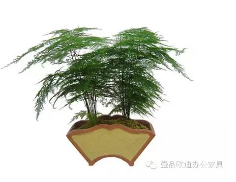 輕松解決辦公室內(nèi)各種污染！