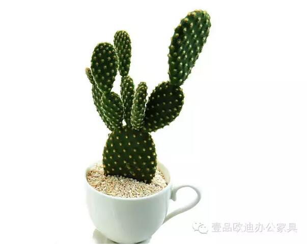 輕松解決辦公室內(nèi)各種污染！
