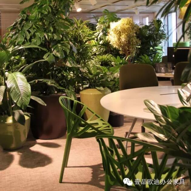 為什么辦公室里一定要養(yǎng)植物？-壹品歐迪辦公家具
