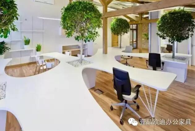 為什么辦公室里一定要養(yǎng)植物？-壹品歐迪辦公家具
