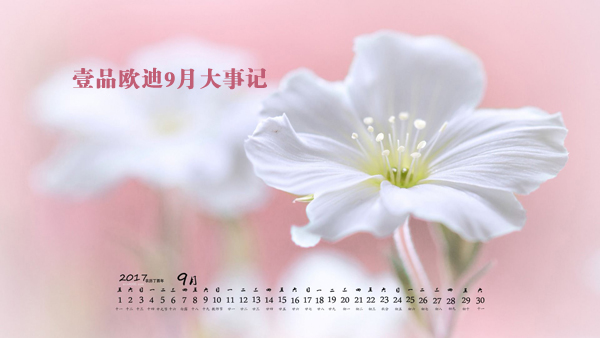 金秋九月，壹品歐迪又有新鮮事發(fā)生了